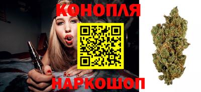 Альфа ПВП Донской