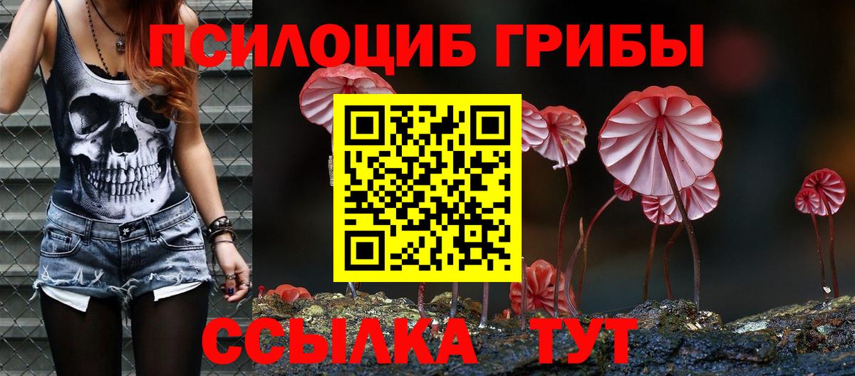 Галлюциногенные грибы прущие грибы  Вход с VPN  закладки  Псилоцибиновые грибы прущие грибы  Казань 