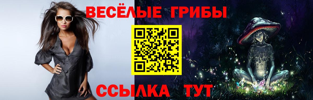 Псилоцибиновые грибы мухоморы Казань